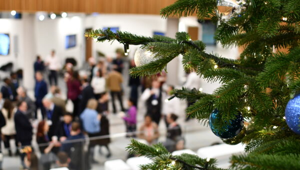 A christmas tree in Nexus